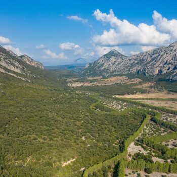Valle Lanaittu Tiscali