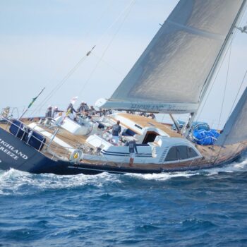 Swan regatta RiS