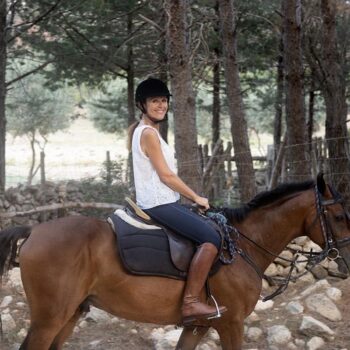 Horses 022
